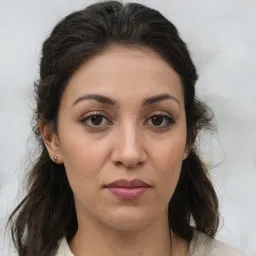 İpek Lale avatar